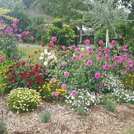 Glenbervie Cottages Whangarei Buitenkant foto