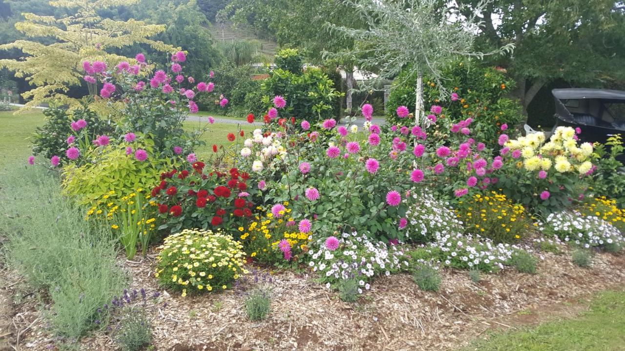 Glenbervie Cottages Whangarei Buitenkant foto